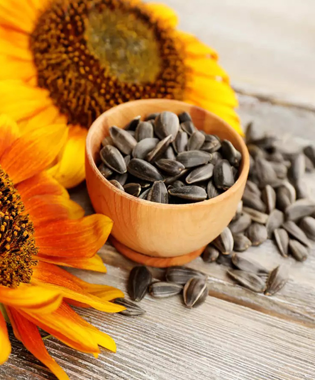 Sunflower Seeds