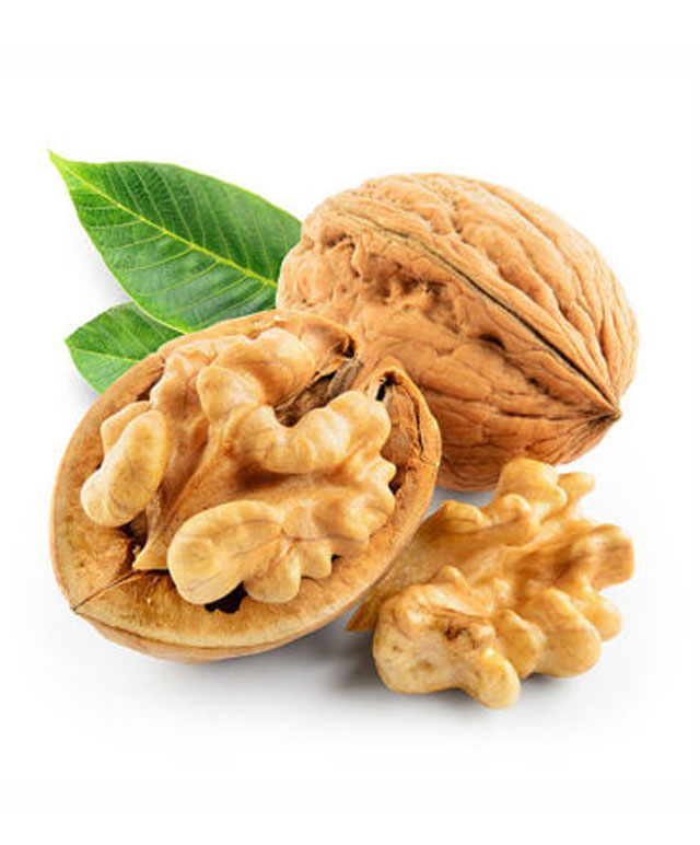 Walnut